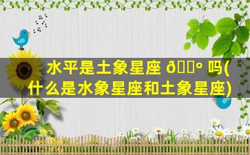 水平是土象星座 🌺 吗(什么是水象星座和土象星座)